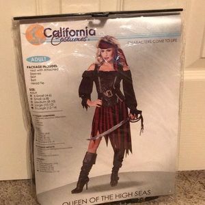 Lady Pirate Costume